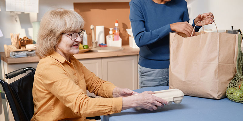 What are Independent Living Services?